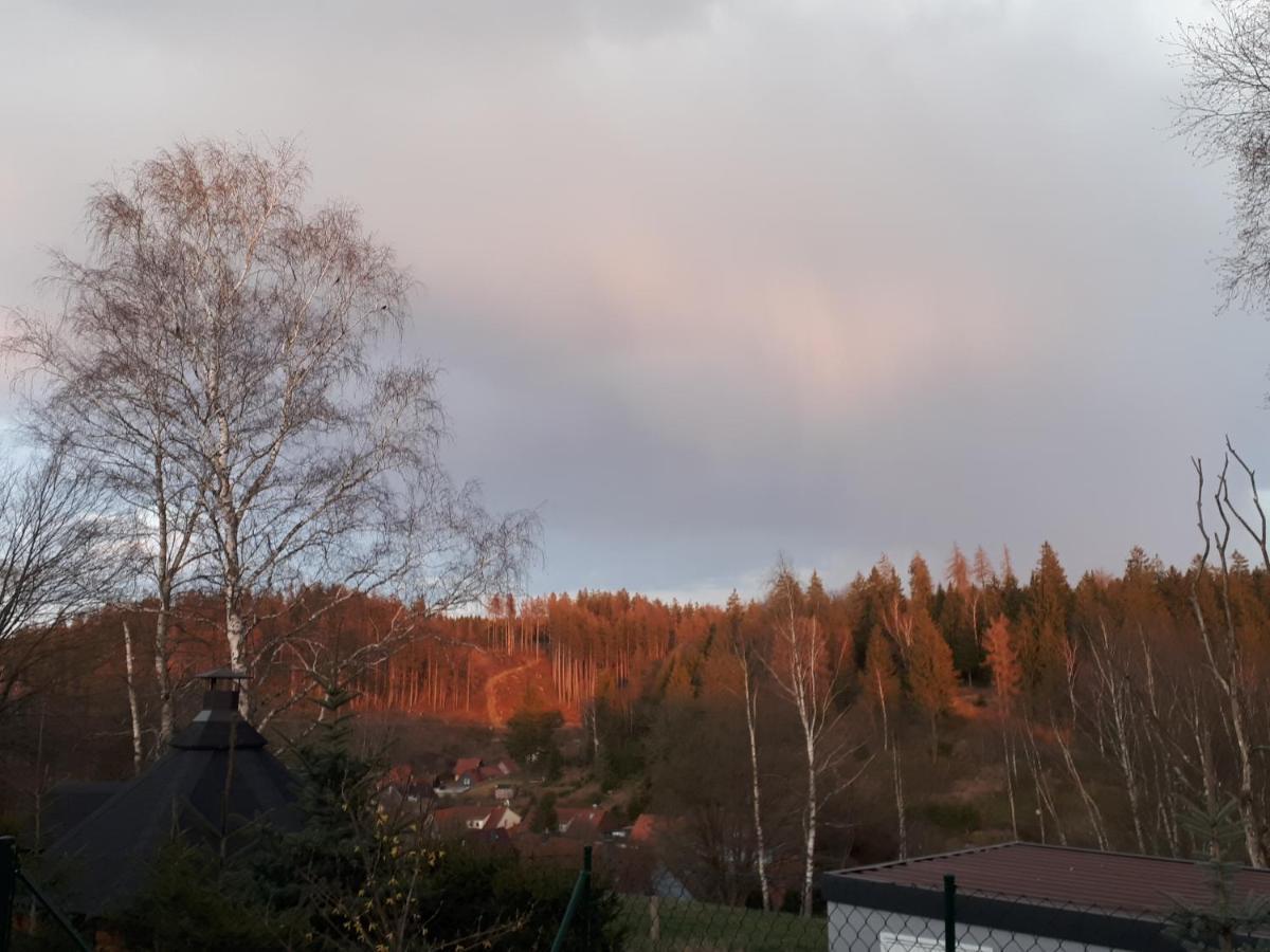 Behagliches Ferienhaus Zaunkoenig -Mit Kamin Und Sauna Tanne Exterior foto